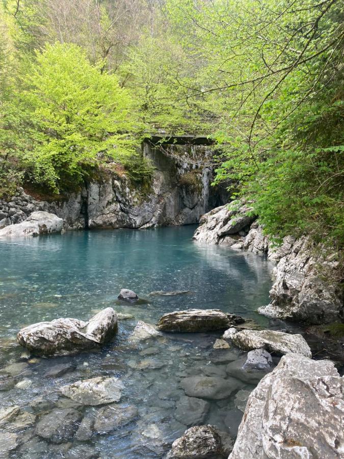 Appartement Rez-De-Chaussee, Cosy T3 4 A 6 Pers Avec Piscines Interieure & Exterieure A Samoens En Haute-Savoie Eksteriør billede