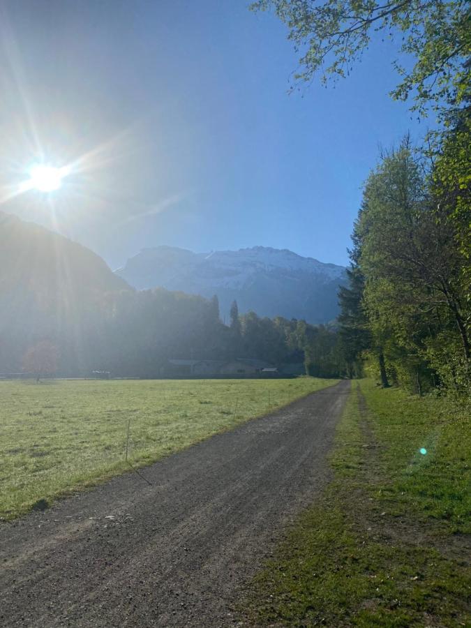Appartement Rez-De-Chaussee, Cosy T3 4 A 6 Pers Avec Piscines Interieure & Exterieure A Samoens En Haute-Savoie Eksteriør billede